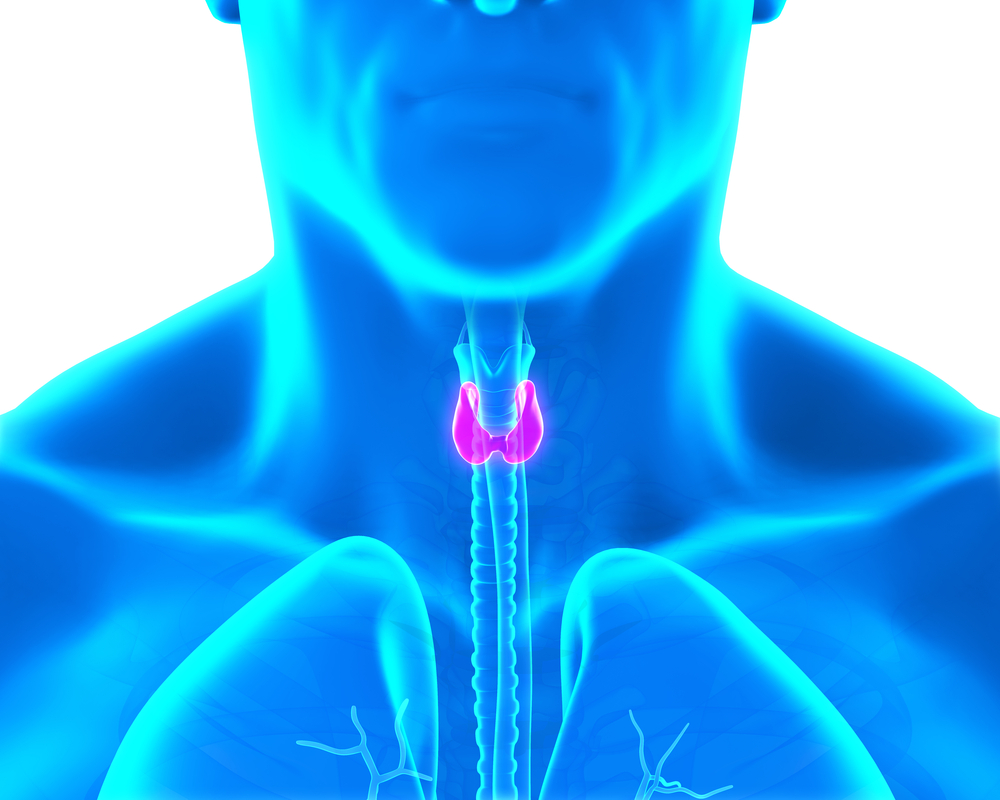 How to Convert Levothyroxine to Desiccated Thyroid