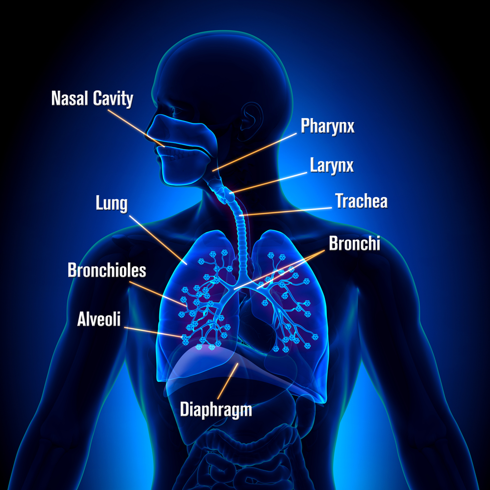 Respiratory Med List Review