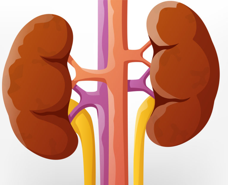 can a person with kidney disease take gabapentin