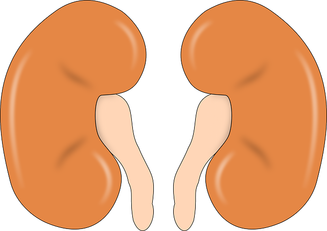 Electrolytes in kidney disease