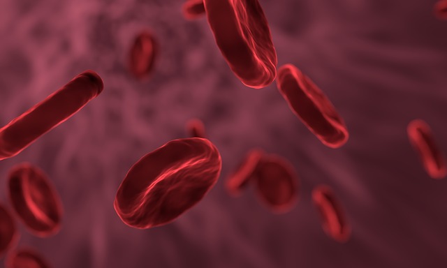 Beginner’s Guide to Common Causes of Anemia