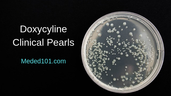 Doxycycline Pharmacology and Clinical Pearls