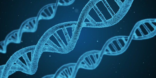 CYP2D6 – Comparing Paroxetine and Tamoxifen