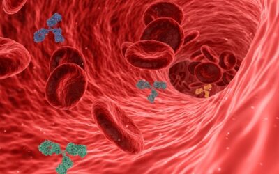 Apixaban Diltiazem Interaction