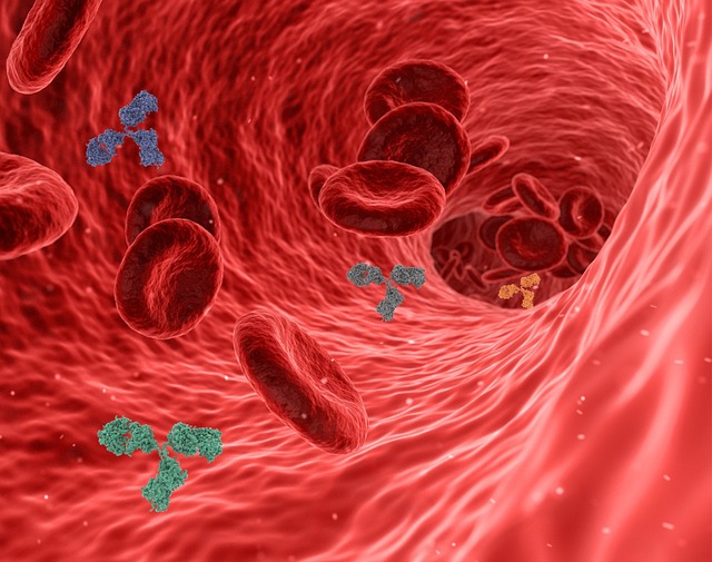 Apixaban Diltiazem Interaction