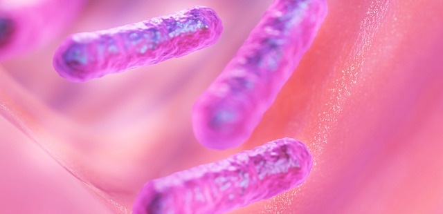 Top 5 Metronidazole Clinical Pearls