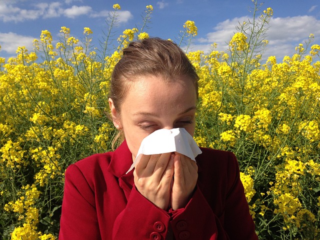Allergy Medications As Deprescribing Targets