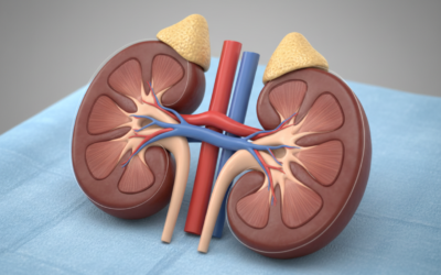 Rhabdomyolysis – 3 Big Things Pharmacists Should Remember